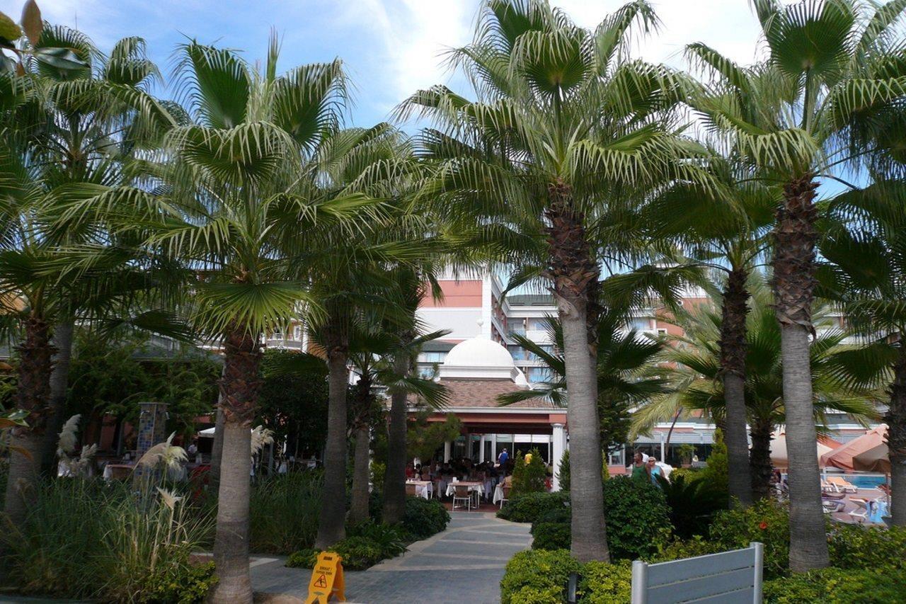 Insula Resort & Spa Alanya Exterior foto